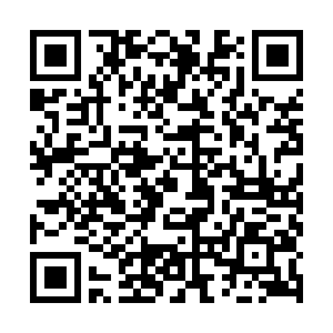 QR code for NPD的九把诊断标尺