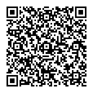 QR code for NPD是如何“长”出来的:先天与后天的拔河
