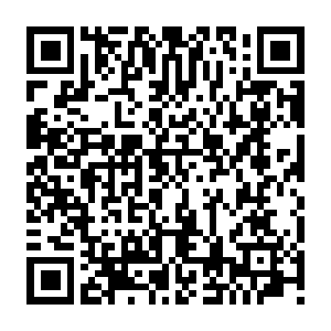 QR code for 三角测量:NPD的多人棋局