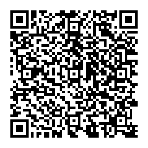 QR code for NPD子女的成年困境：隐形伤痕的十种面孔
