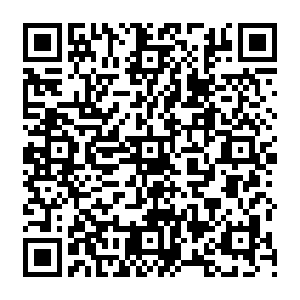 QR code for NPD与性:征服、工具化与空虚