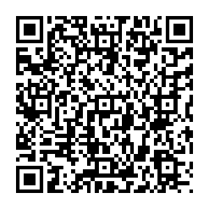 QR code for 当NPD老了:衰退中的虚妄帝王
