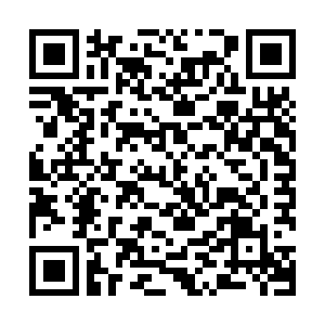 QR code for 所有测试整理