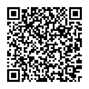 QR code for 人格障碍评估工具表格